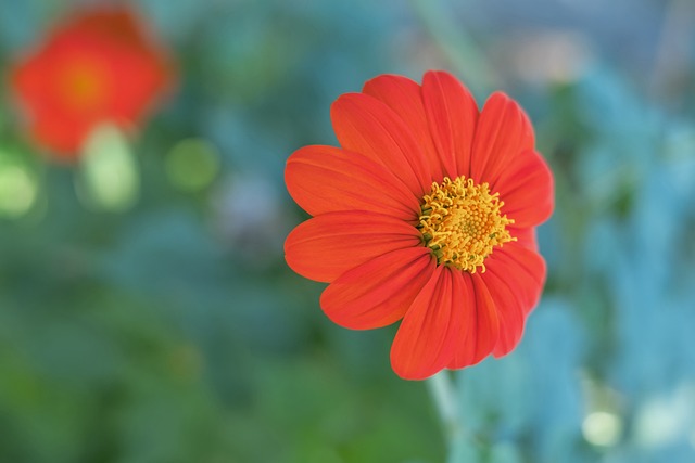 双方就展现 双方就展现