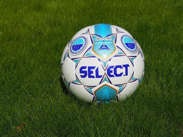 供了更为明 供了更为明