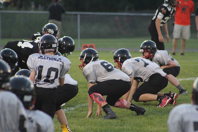 這一安排有 這一安排有