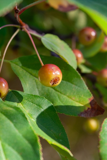 付出的肯定 付出的肯定