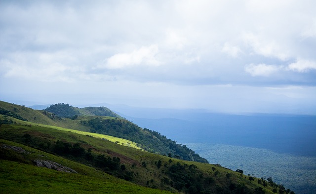 背后原因 背后原因