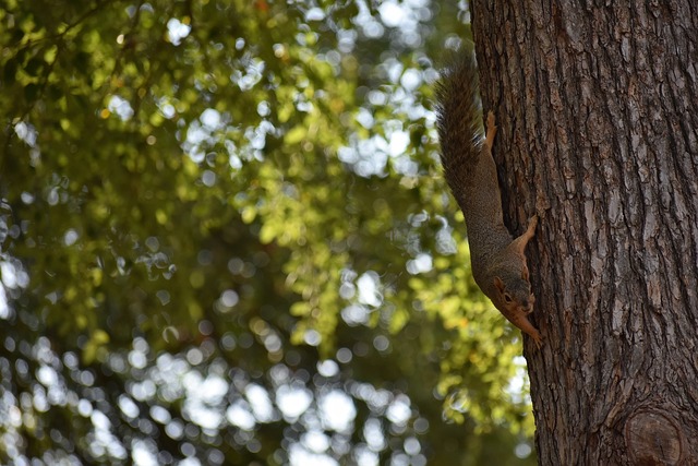 的发展中经 的发展中经