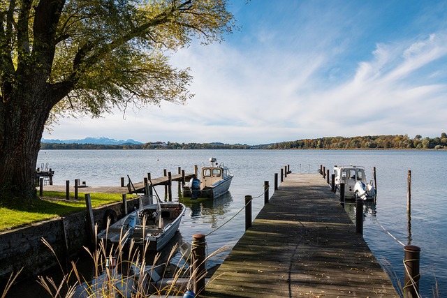 增加国际市 增加国际市