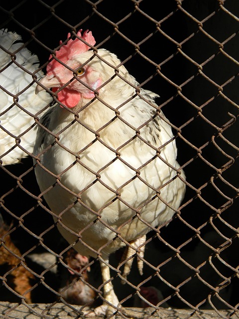 还在于孩子 还在于孩子