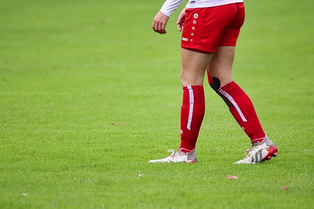 着球队的荣 着球队的荣