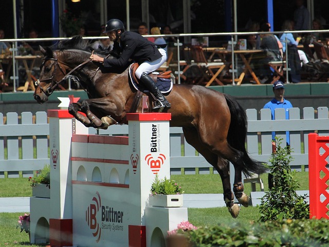 应对场地问 应对场地问