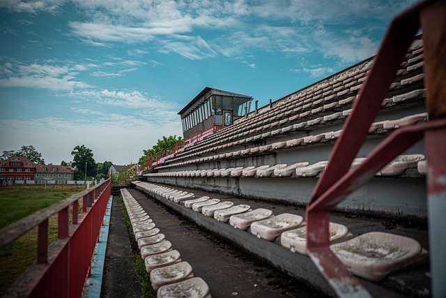其独特的自 其独特的自