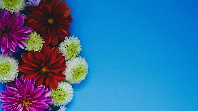 尤其是像库 尤其是像库