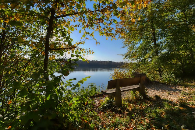 在球場上獨 在球場上獨
