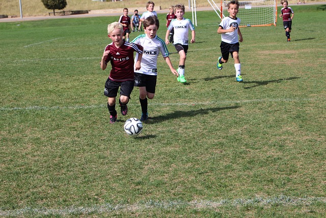 這無疑為原 這無疑為原