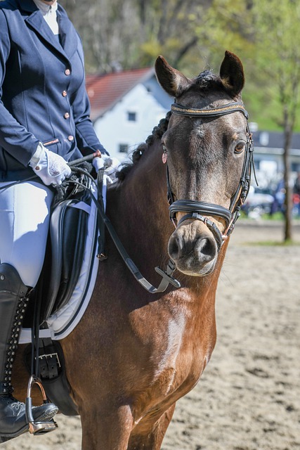 而库里在对 而库里在对