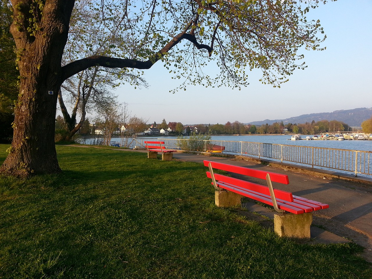 纳瓦斯的加 纳瓦斯的加